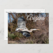 Great Blue Heron in vlucht, Arizona Briefkaart (Voorkant / Achterkant)