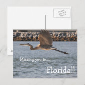 Great Blue Heron in vlucht Briefkaart (Voorkant / Achterkant)