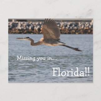 Great Blue Heron in vlucht Briefkaart