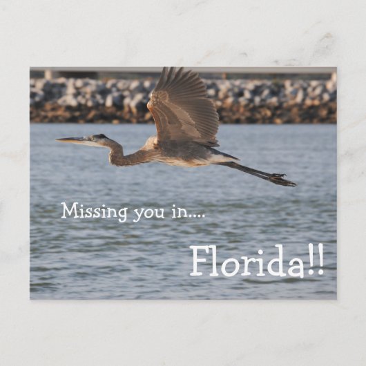 Great Blue Heron in vlucht Briefkaart (Voorkant)