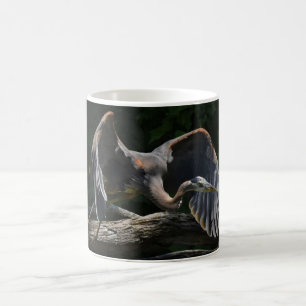 Great Blue Heron in vlucht Koffiemok