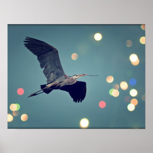 Great Blue Heron in vlucht Poster (Voorkant)