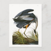 Great Blue Heron, John James Audubon Fine Art Briefkaart (Voorkant)