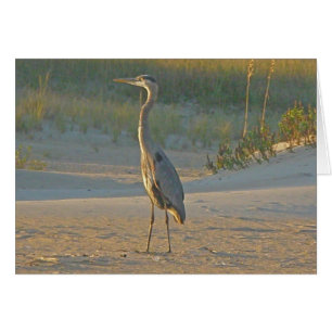 Great Blue Heron-kaart
