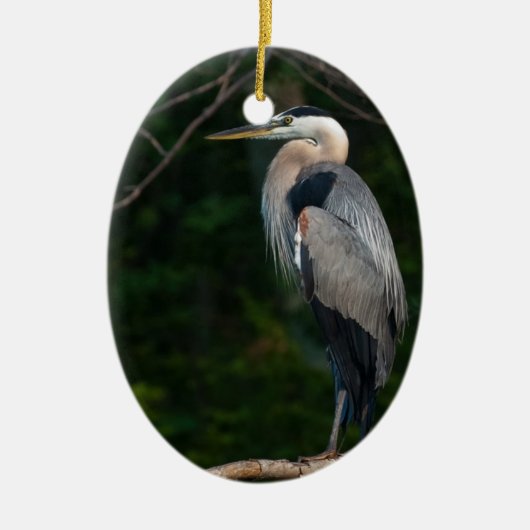 Great Blue Heron Keramisch Ornament (Voorkant)