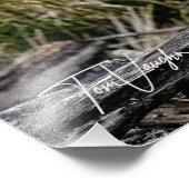 Great Blue Heron Landing - Foto Afdruk (Hoek)