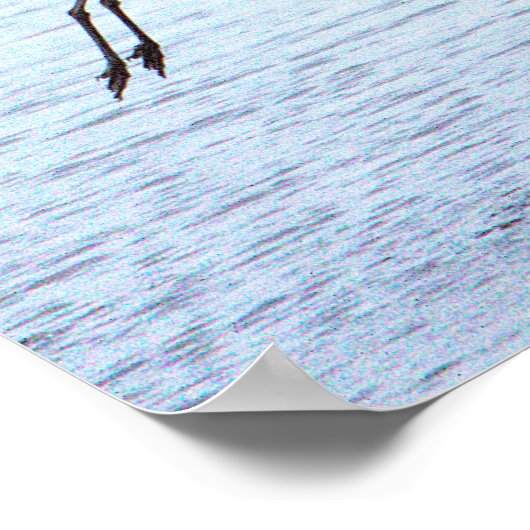 Great Blue Heron Landing Poster (Hoek)