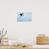 Great Blue Heron Landing Poster (Keuken)