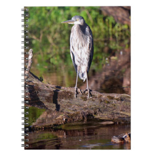 Great Blue Heron Log Photo Notitieboek Journal