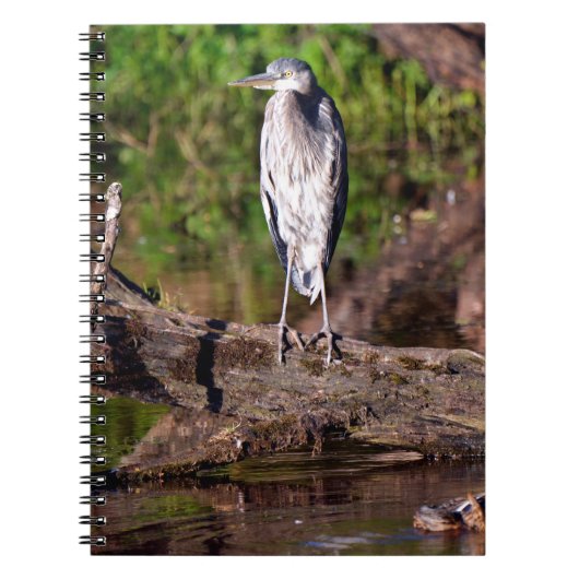 Great Blue Heron Log Photo Notitieboek Journal (Voorkant)