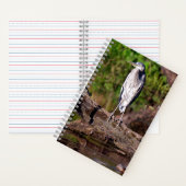 Great Blue Heron Log Photo Notitieboek Journal (Binnen)