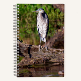 Great Blue Heron Log Photo Notitieboek Journal