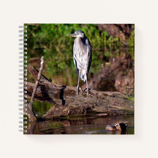 Great Blue Heron Log Photo Notitieboek Journal (Voorkant)