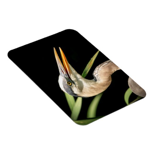 Great Blue Heron Magneet (Rechterzijde)