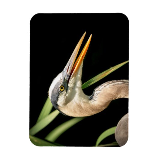 Great Blue Heron Magneet (Verticaal)