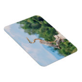 Great Blue Heron Magneet (Rechterzijde)