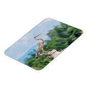 Great Blue Heron Magneet (Linkerzijde)