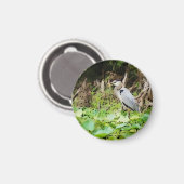 Great Blue Heron Magneet (Voorkant / Achterkant)
