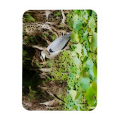 Great Blue Heron Magneet (Verticaal)
