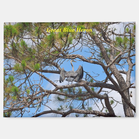 Great Blue Heron Magneet (Voorkant)