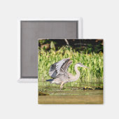 Great Blue Heron Magneet (Voorkant / Achterkant)