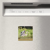 Great Blue Heron Magneet (Insitu (Vaatwasser))