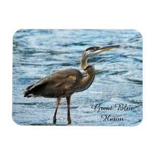 Great Blue Heron Magneet