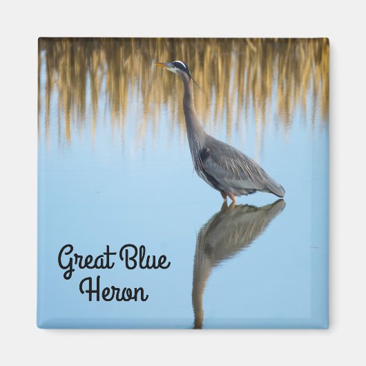 Great Blue Heron Magneet (Voorkant)