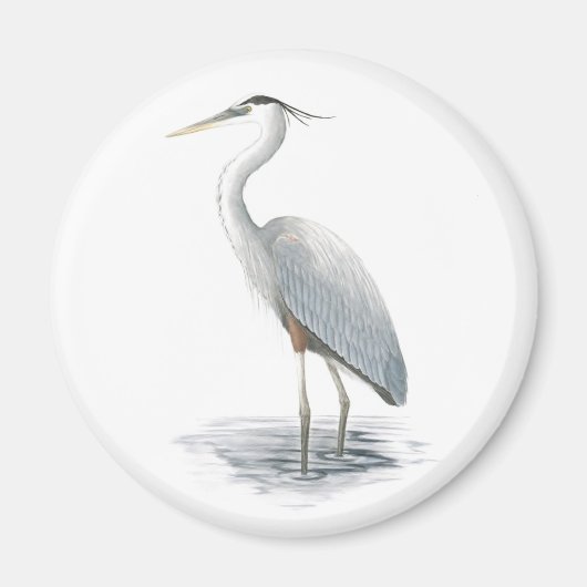 Great Blue Heron Magnet (Voorkant)