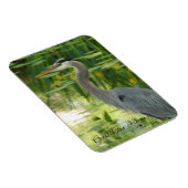 Great Blue Heron Magnet Magneet (Rechterzijde)