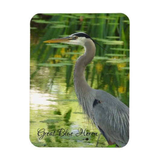 Great Blue Heron Magnet Magneet (Verticaal)