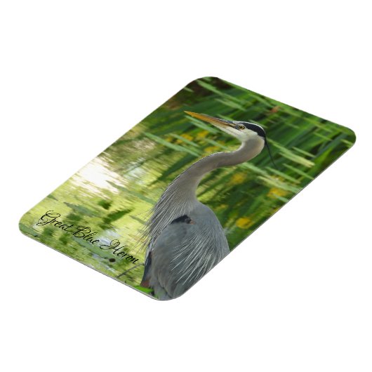 Great Blue Heron Magnet Magneet (Linkerzijde)