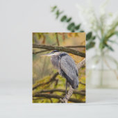 Great Blue Heron met Briefkaart voor valkleuren (Staand voorkant)