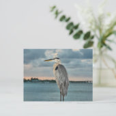 Great Blue Heron met Cortez als achtergrond Briefkaart (Staand voorkant)