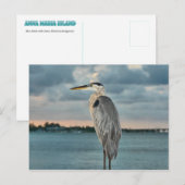Great Blue Heron met Cortez als achtergrond Briefkaart (Voorkant / Achterkant)