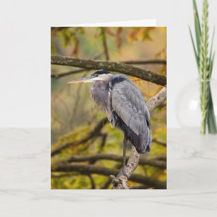 Great Blue Heron met Wenskaart voor valkleuren Kaart