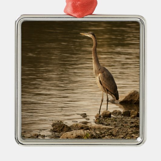 Great Blue Heron Metalen Ornament (Voorkant)