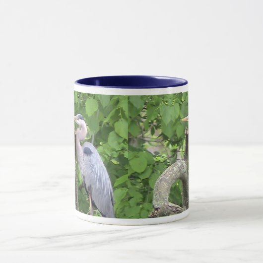 Great Blue Heron Mok (Midden)