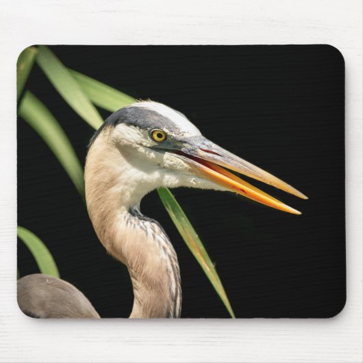 Great Blue Heron Muismat (Voorkant)