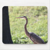 Great Blue Heron Muismat (Voorkant)