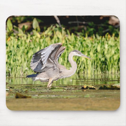 Great Blue Heron Muismat (Voorkant)
