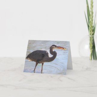 Great Blue Heron Notecard - Blank Inside Kaart