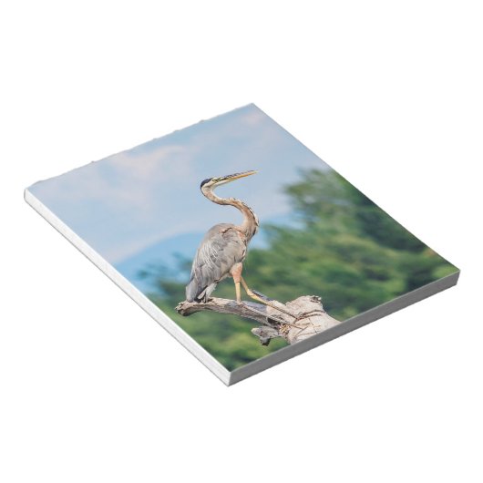 Great Blue Heron Notitieblok (Schuin)