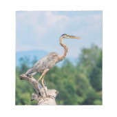 Great Blue Heron Notitieblok (Voorkant)