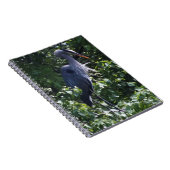Great Blue Heron Notitieboek (Rechterzijde)