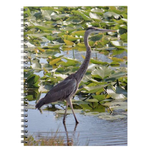 Great Blue Heron Notitieboek (Voorkant)