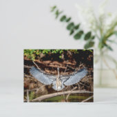 Great Blue Heron op een log Briefkaart (Staand voorkant)