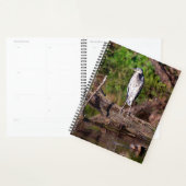 Great Blue Heron op Log Photo Planner (Display)