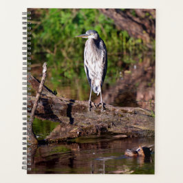 Great Blue Heron op Log Photo Planner
