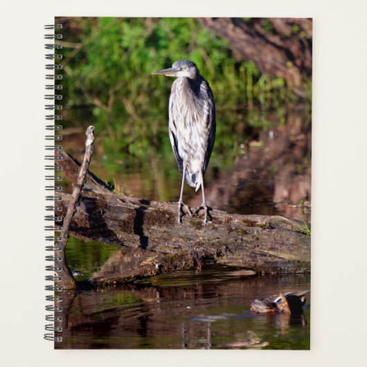 Great Blue Heron op Log Photo Planner (Voorkant)